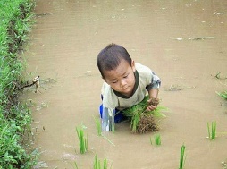  Có những trẻ em nghèo không có Tết Trung thu