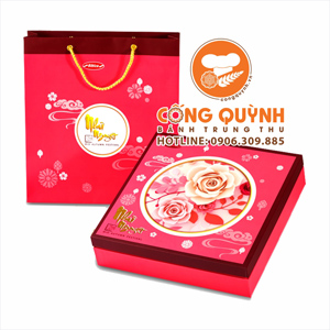 Bánh Trung Thu Bibica Như Nguyệt