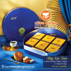 Bánh Trung Thu Givral 2023 Hộp Lục Bảo 6 Bánh