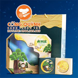 Combo Ái Huê 2022 Kết Nối 1